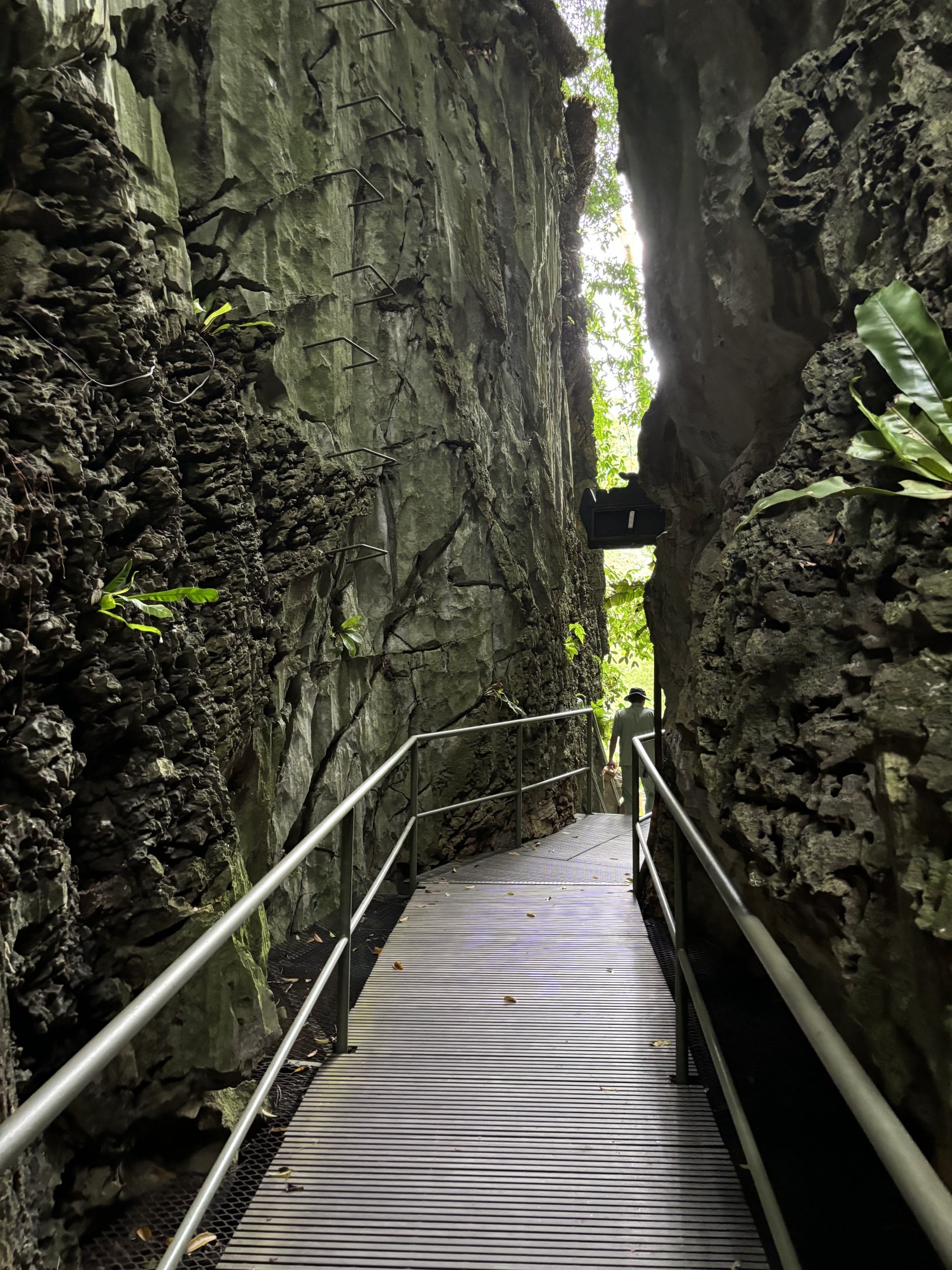 Tarantula Alley - Lost World of Tambun
