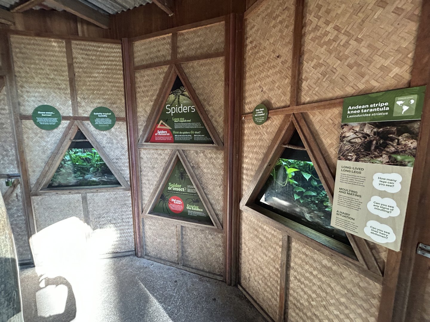 Tarantula House - South American Rainforest Track