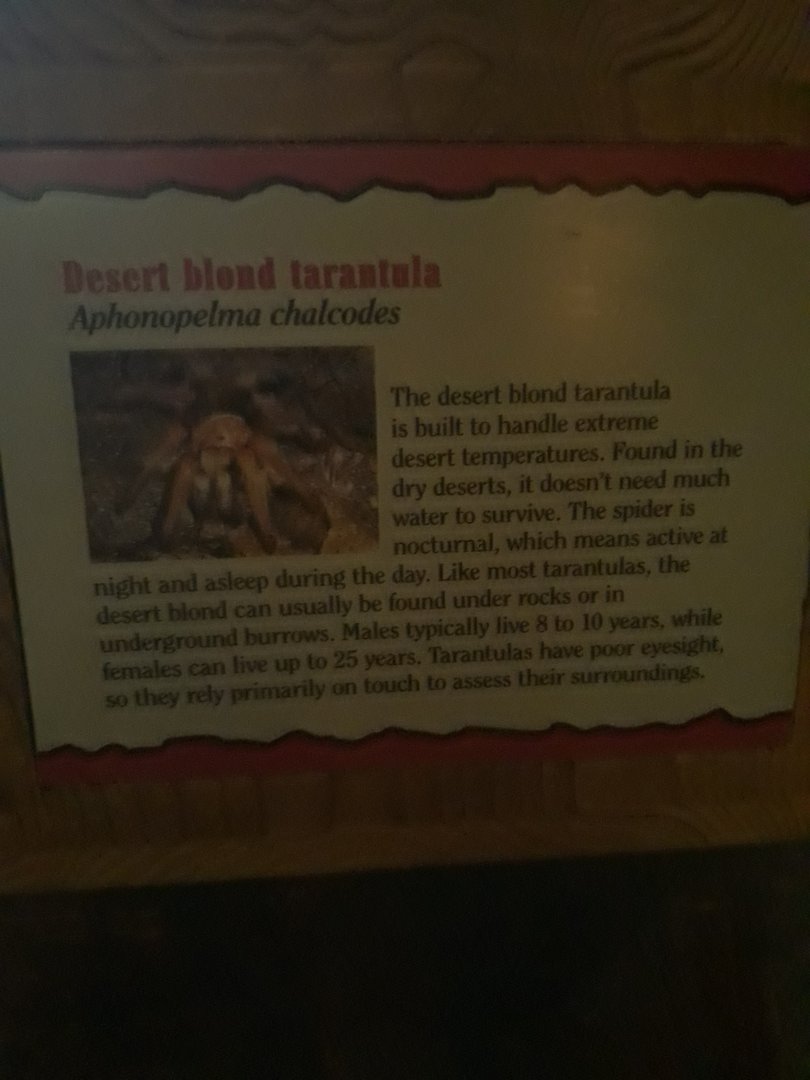 Tarantula sign