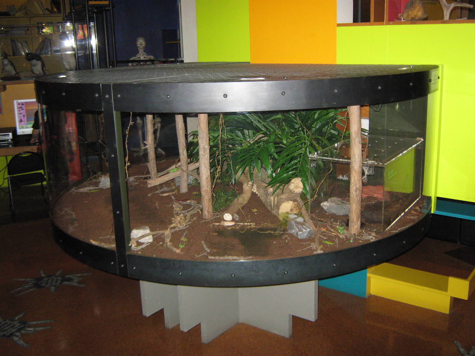 tarantula tank, Canterbury Museum
