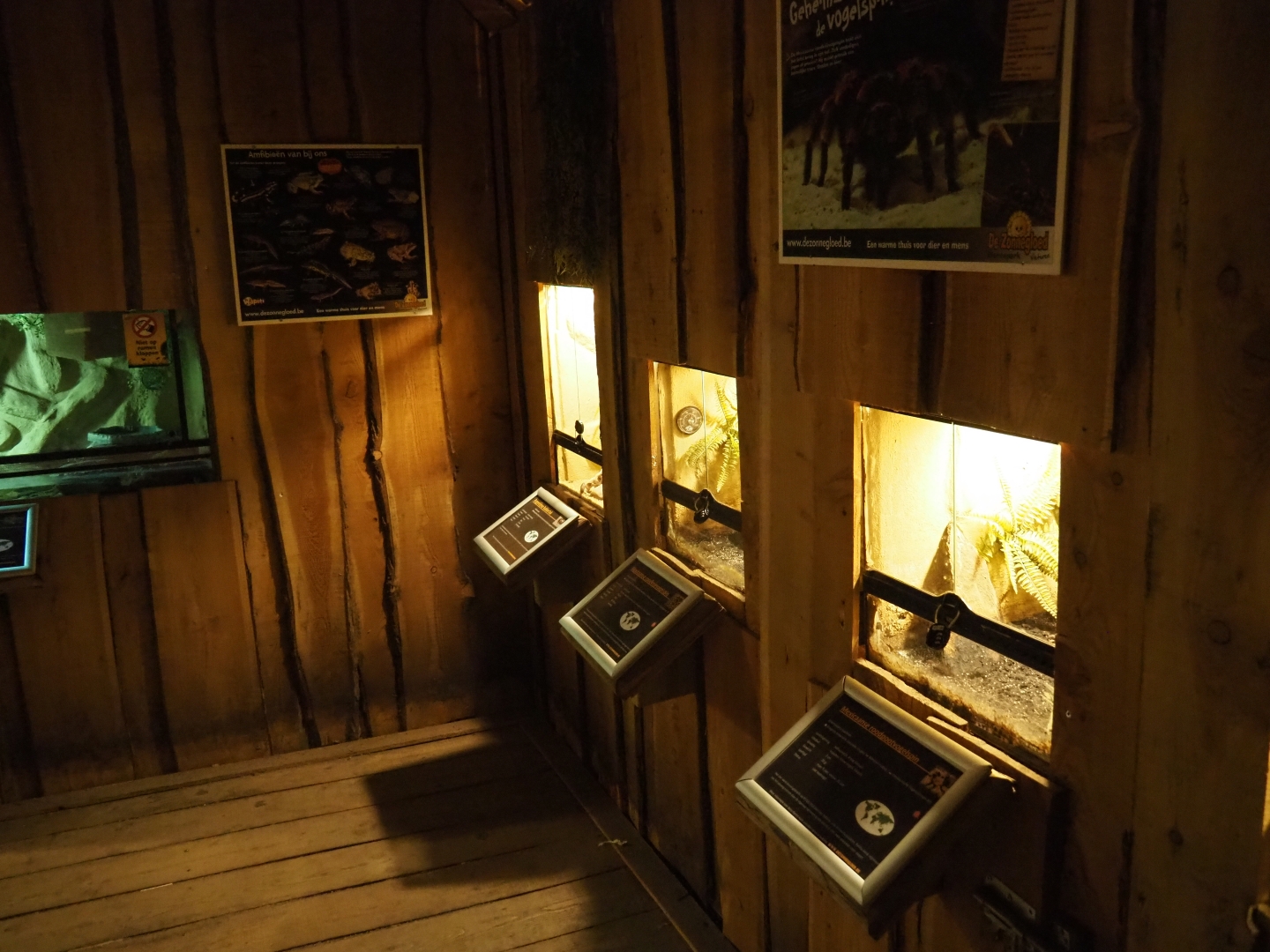Tarantula terrariums