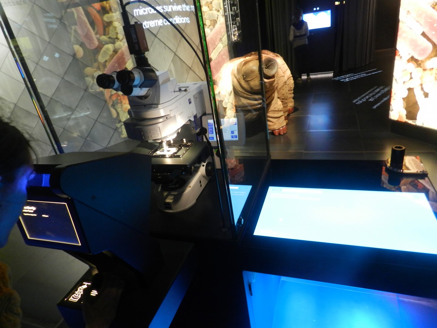 Tardigrade display at Micropia