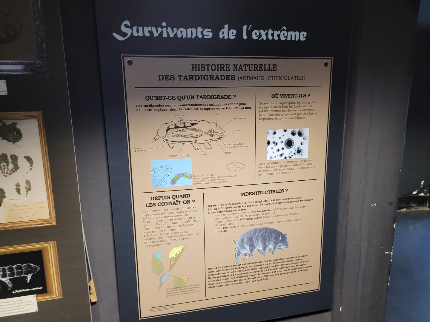 Tardigrade sign -Parc Zoologique de Paris (2022)