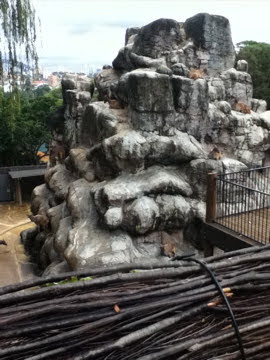 Taronga 2010 - Himalayan Tahr exhibit