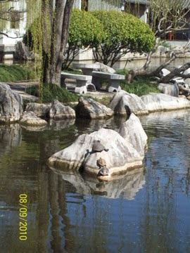 Taronga 2010 - Where is this?