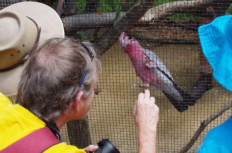 Taronga 2012 - Galah - Old Education Centre