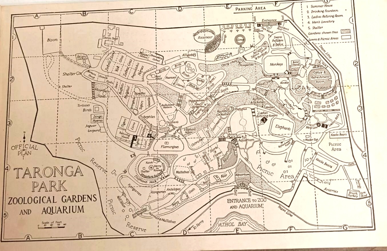 Taronga Map (think 1940s)