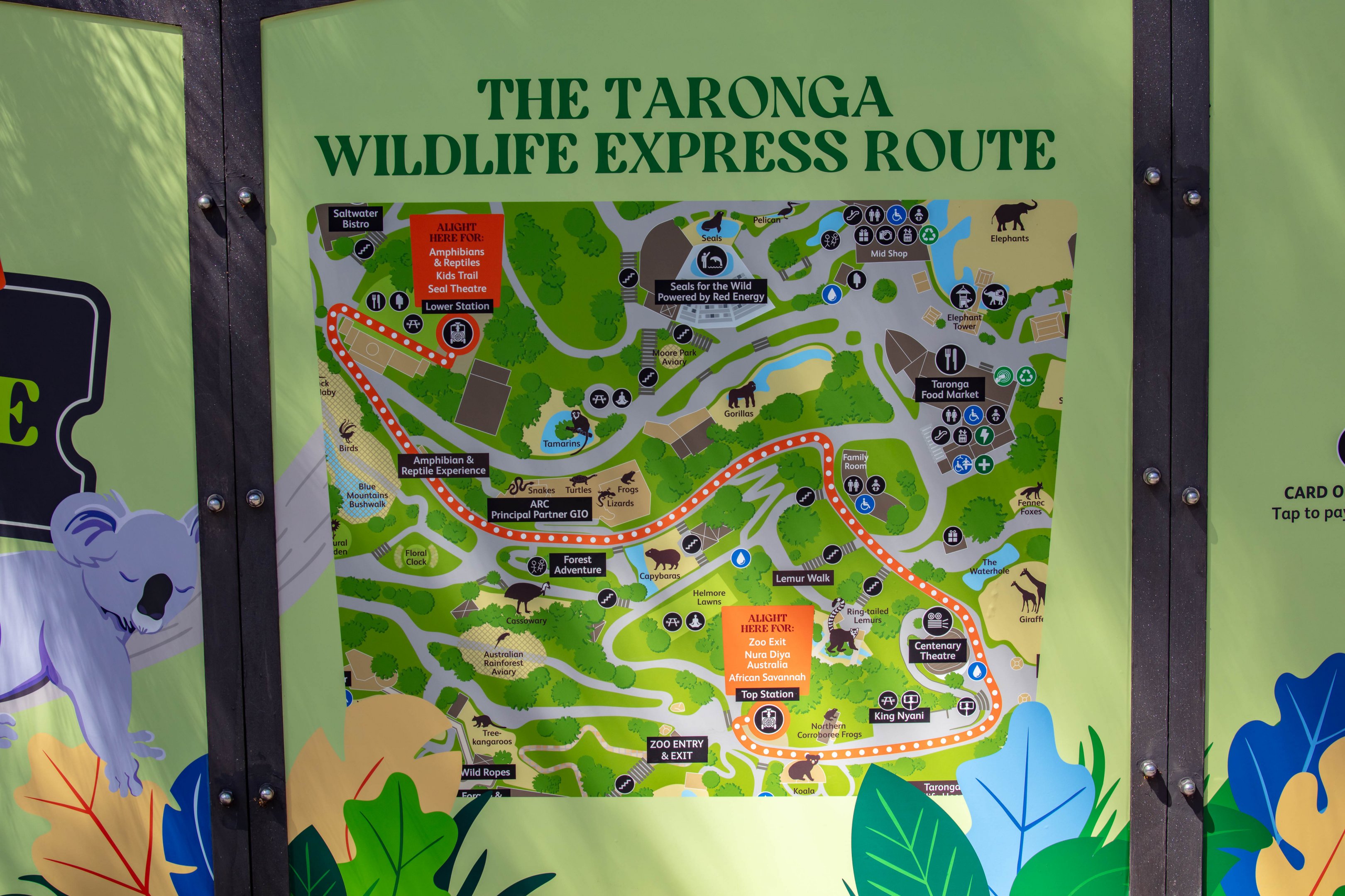 Taronga Wildlife Express
