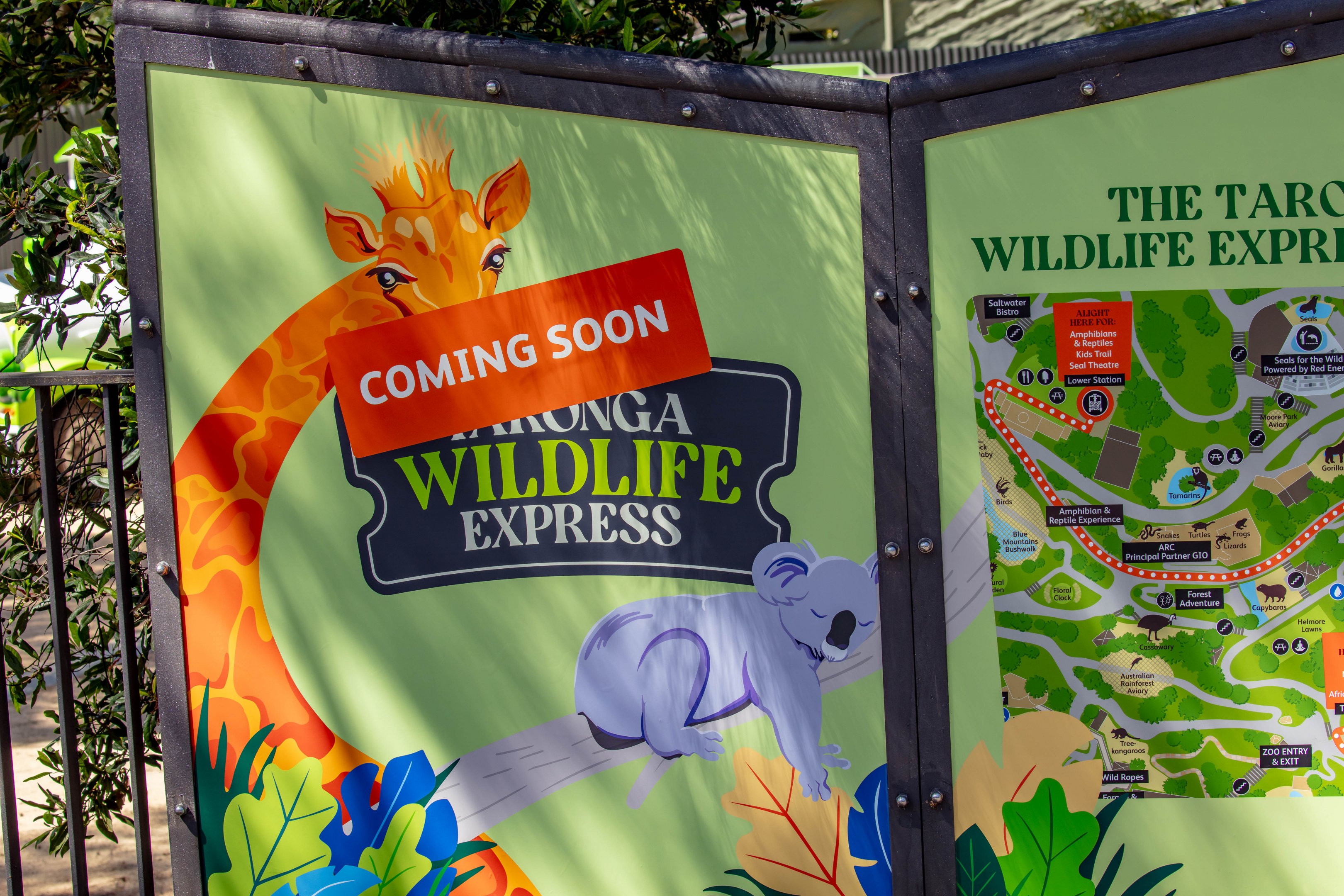 Taronga Wildlife Express