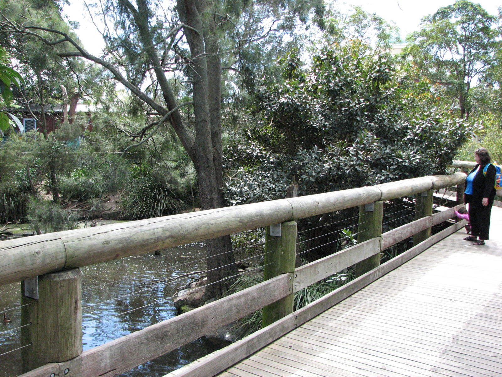 Taronga Zoo 2007 - Boardwalk across a wetlands exhibit