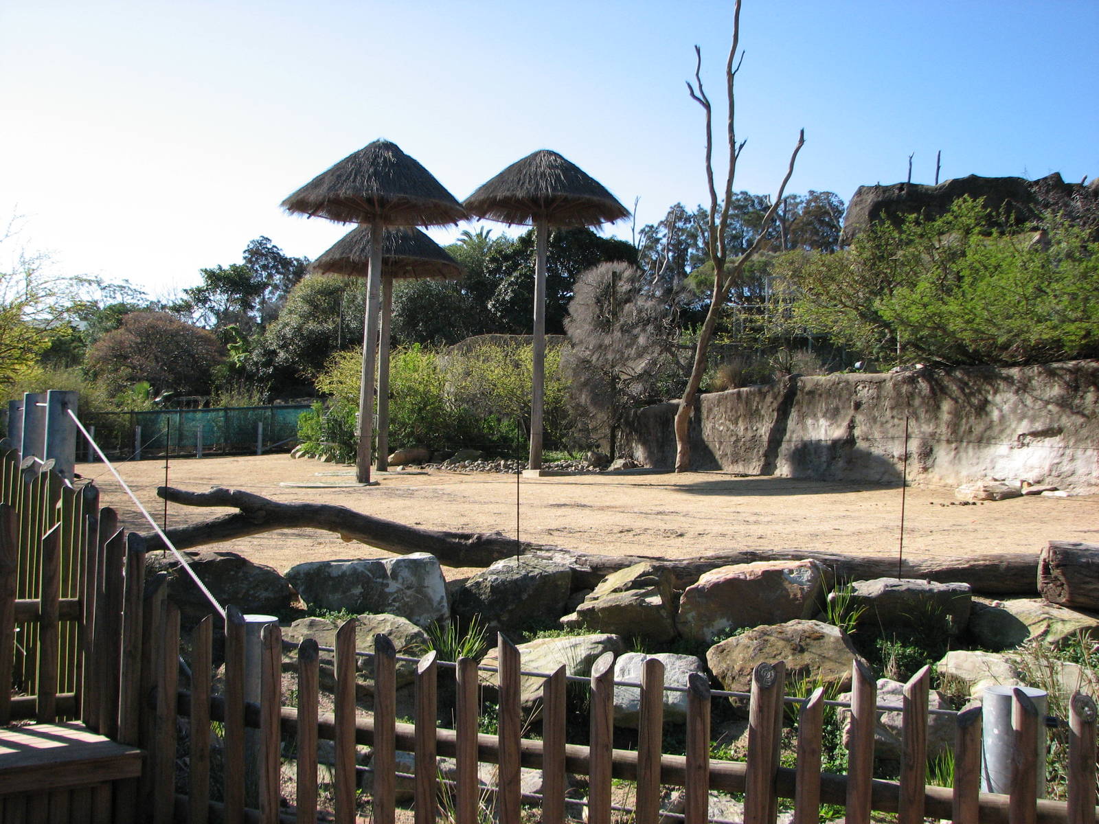 Taronga Zoo 2007 - Chapmans Zebra exhibit in the African Waterhole
