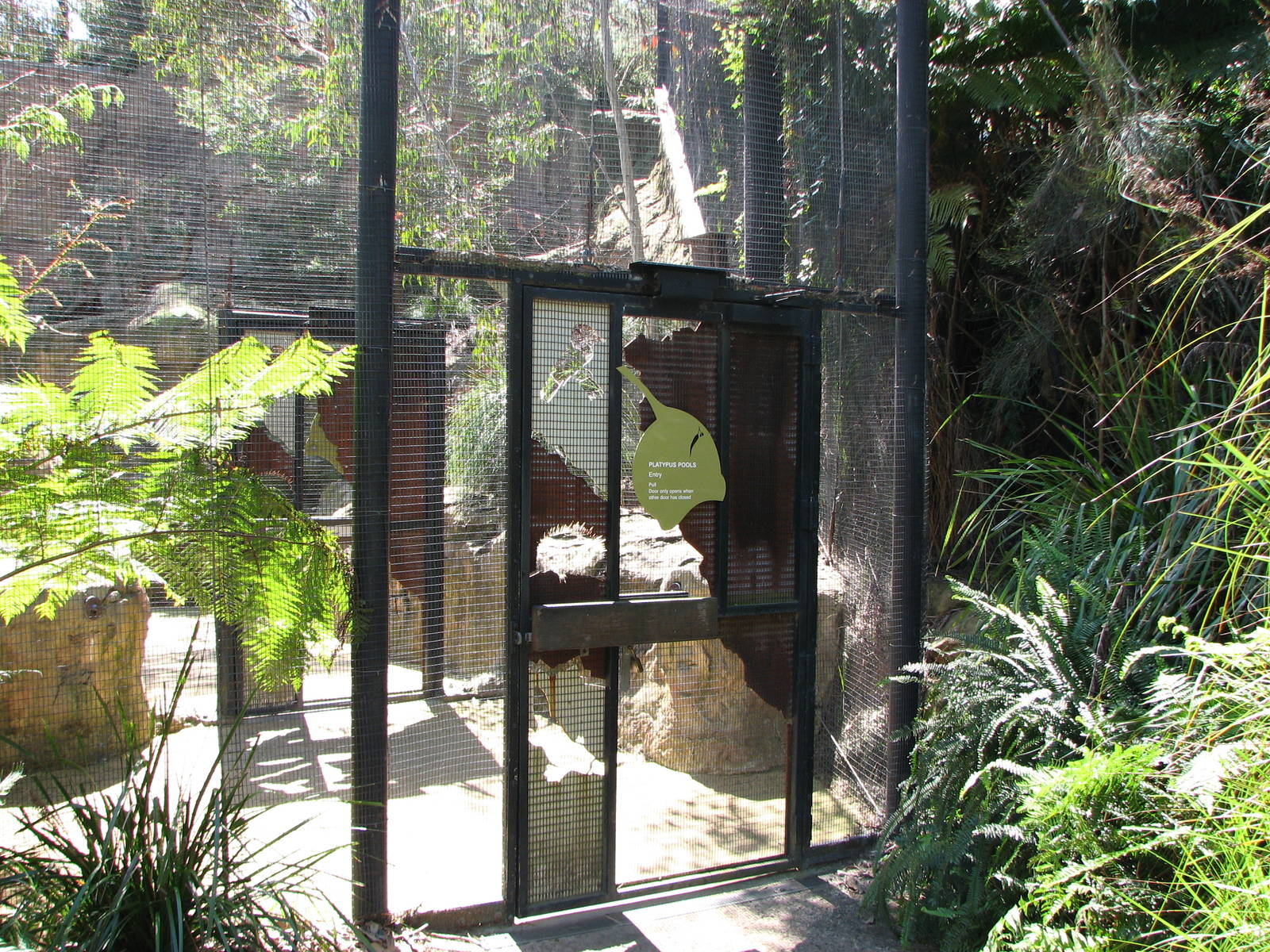Taronga Zoo 2007 - Entrance to Creatures of the Wollemi