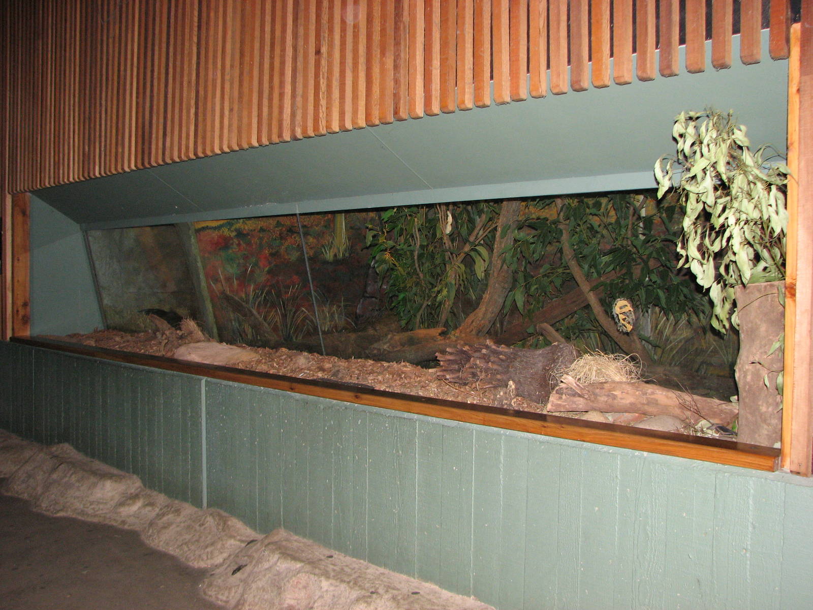 Taronga Zoo 2007 - Exhibit inside the Platypus and Wombat House
