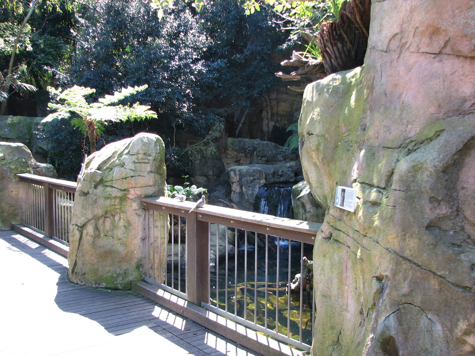 Taronga Zoo 2007 - Front of Platypus exhibit in Creatures of the Wollemi
