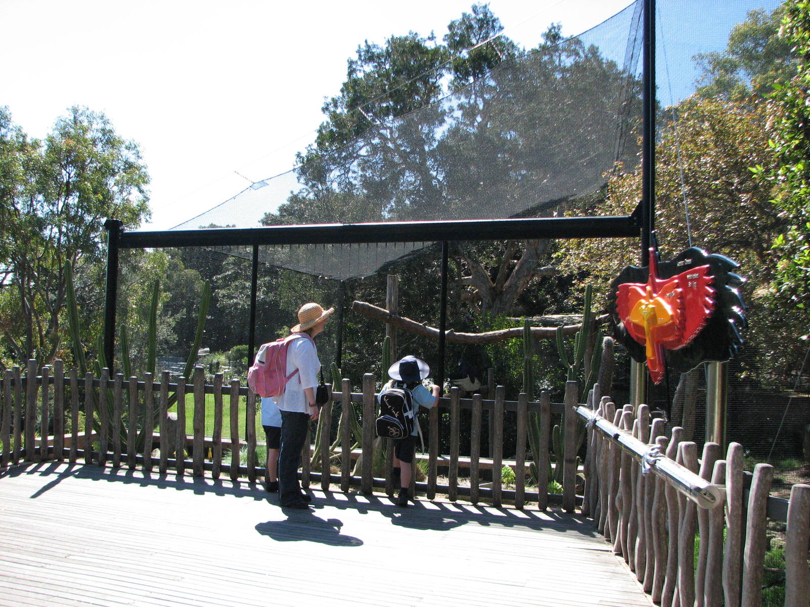 Taronga Zoo 2007 - Front of the Andean Condor aviary