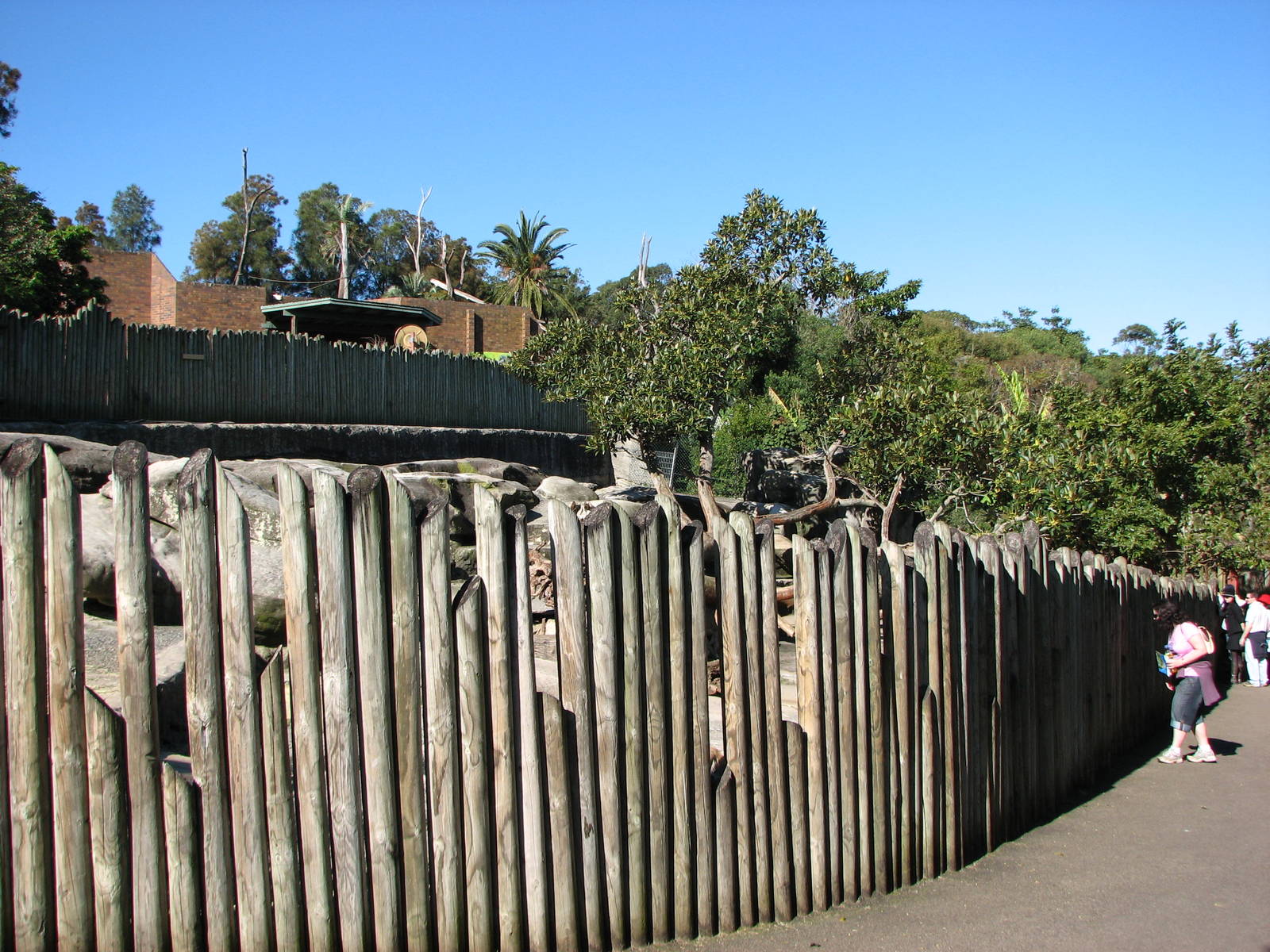 Taronga Zoo 2007 - Front of the Barbary Sheep exhibit