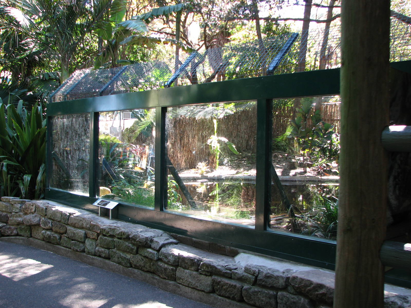 Taronga Zoo 2007 - Front of the Estuarine Crocodile exhibit