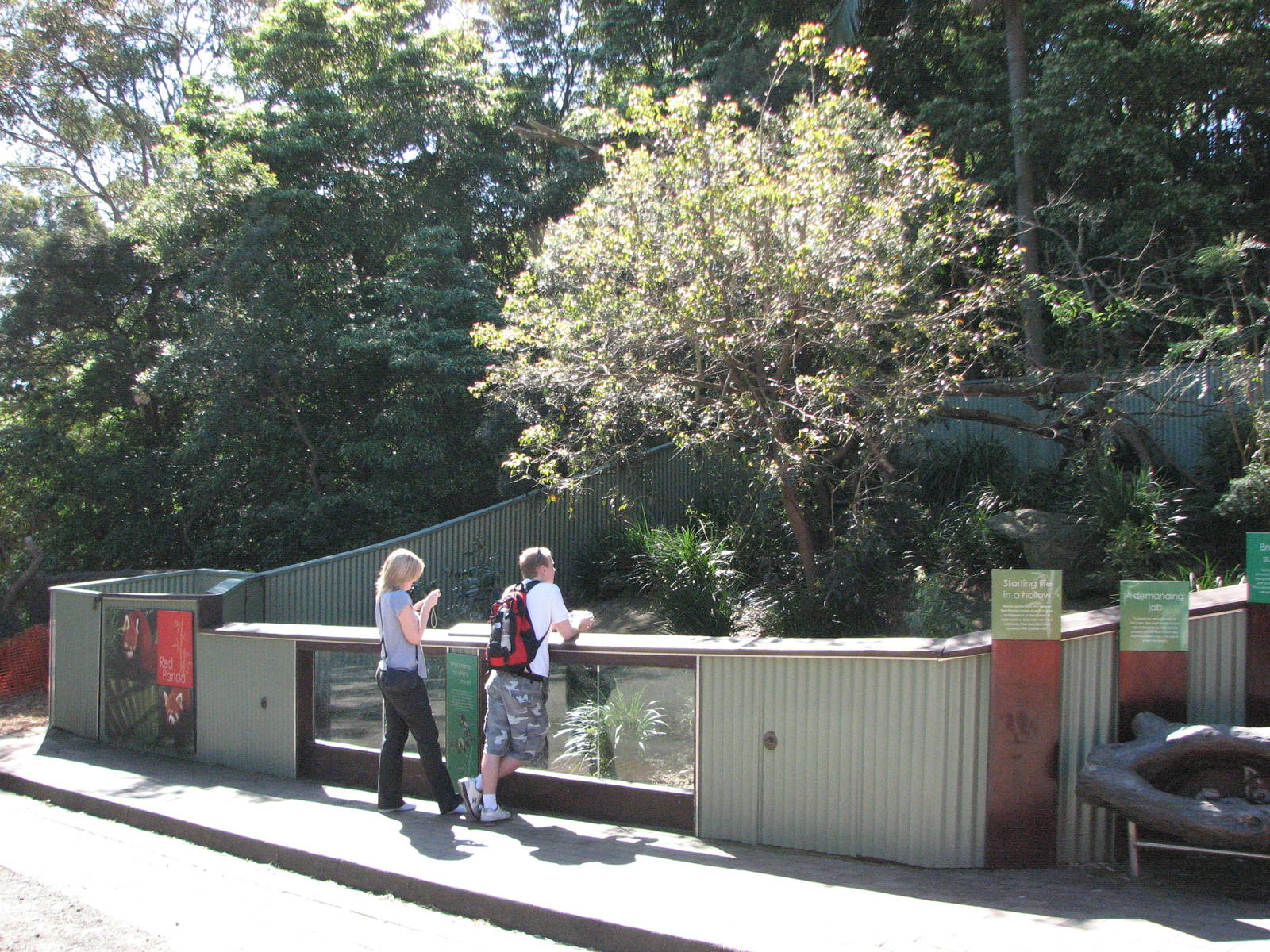 Taronga Zoo 2007 - Front of the Red Panda exhibit