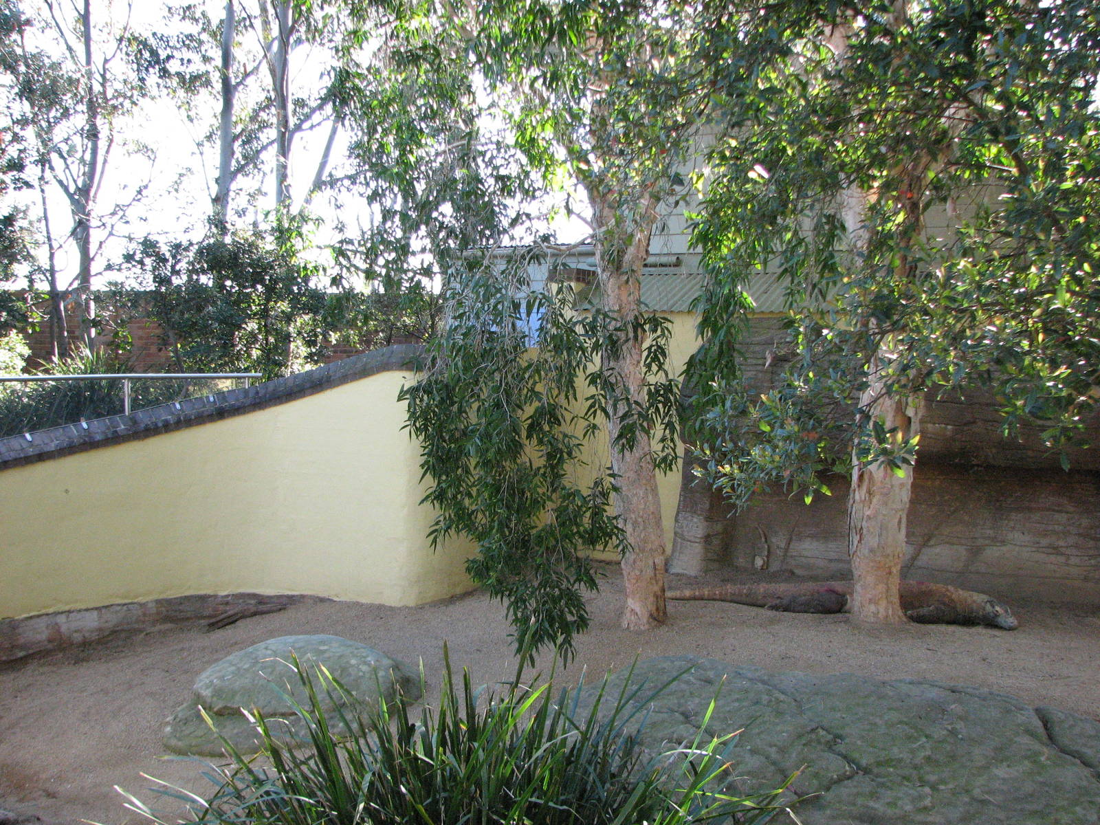 Taronga Zoo 2007 - Front view into the Komodo Dragon exhibit