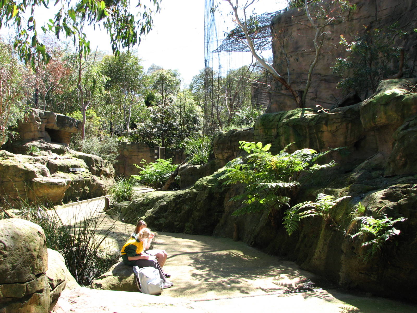 Taronga Zoo 2007 - Inside Creatures of the Wollemi