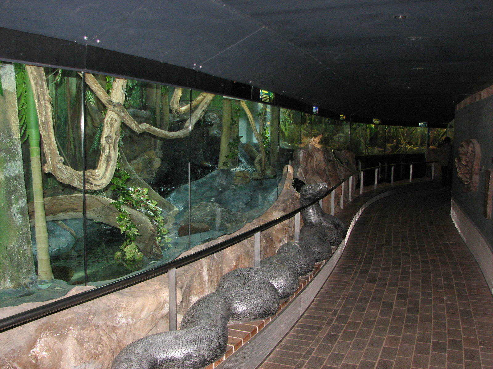 Taronga Zoo 2007 - Inside the Reptile House