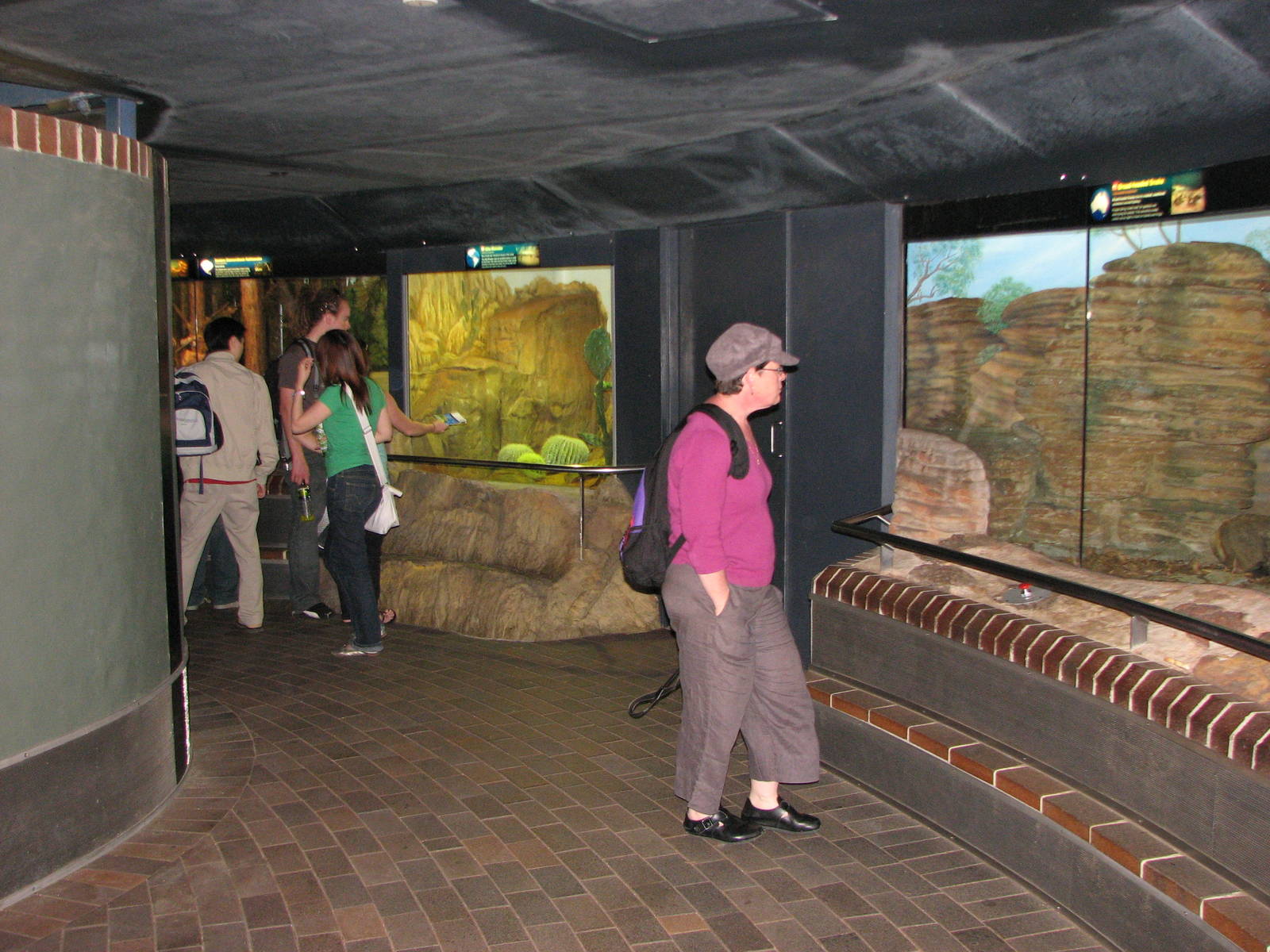 Taronga Zoo 2007 - Inside the Reptile House