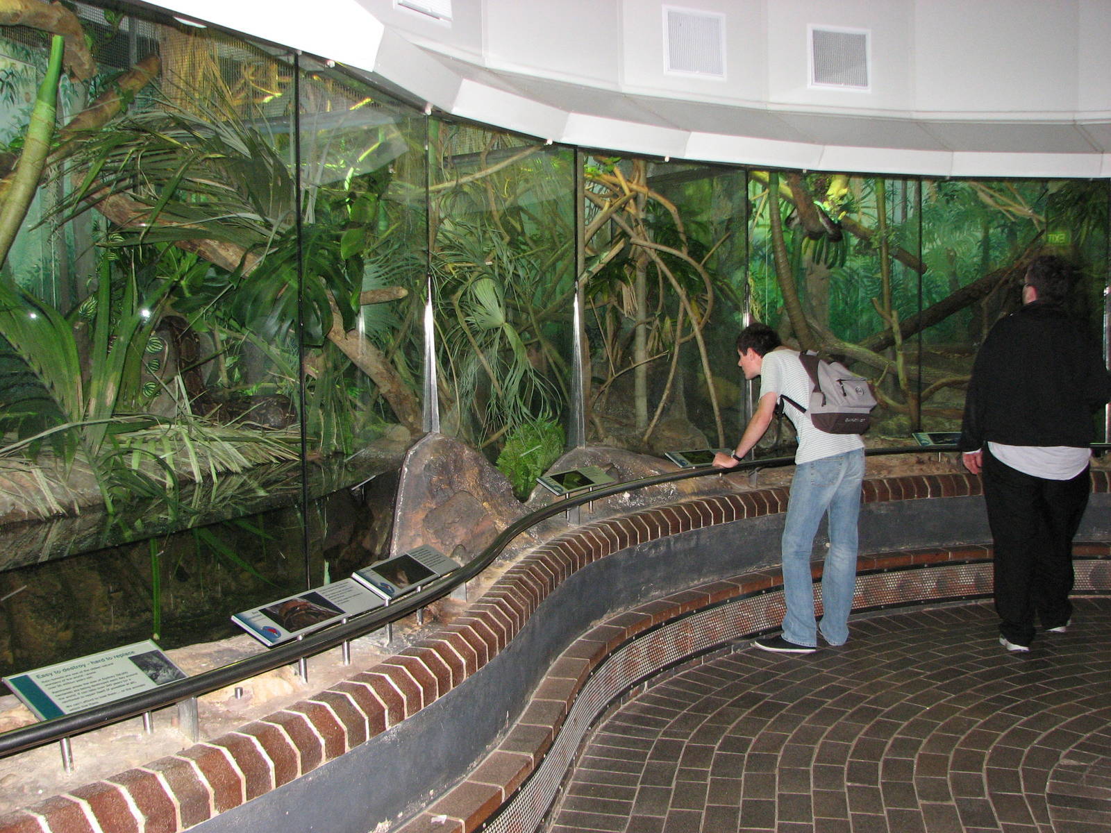 Taronga Zoo 2007 - Inside the Reptile House