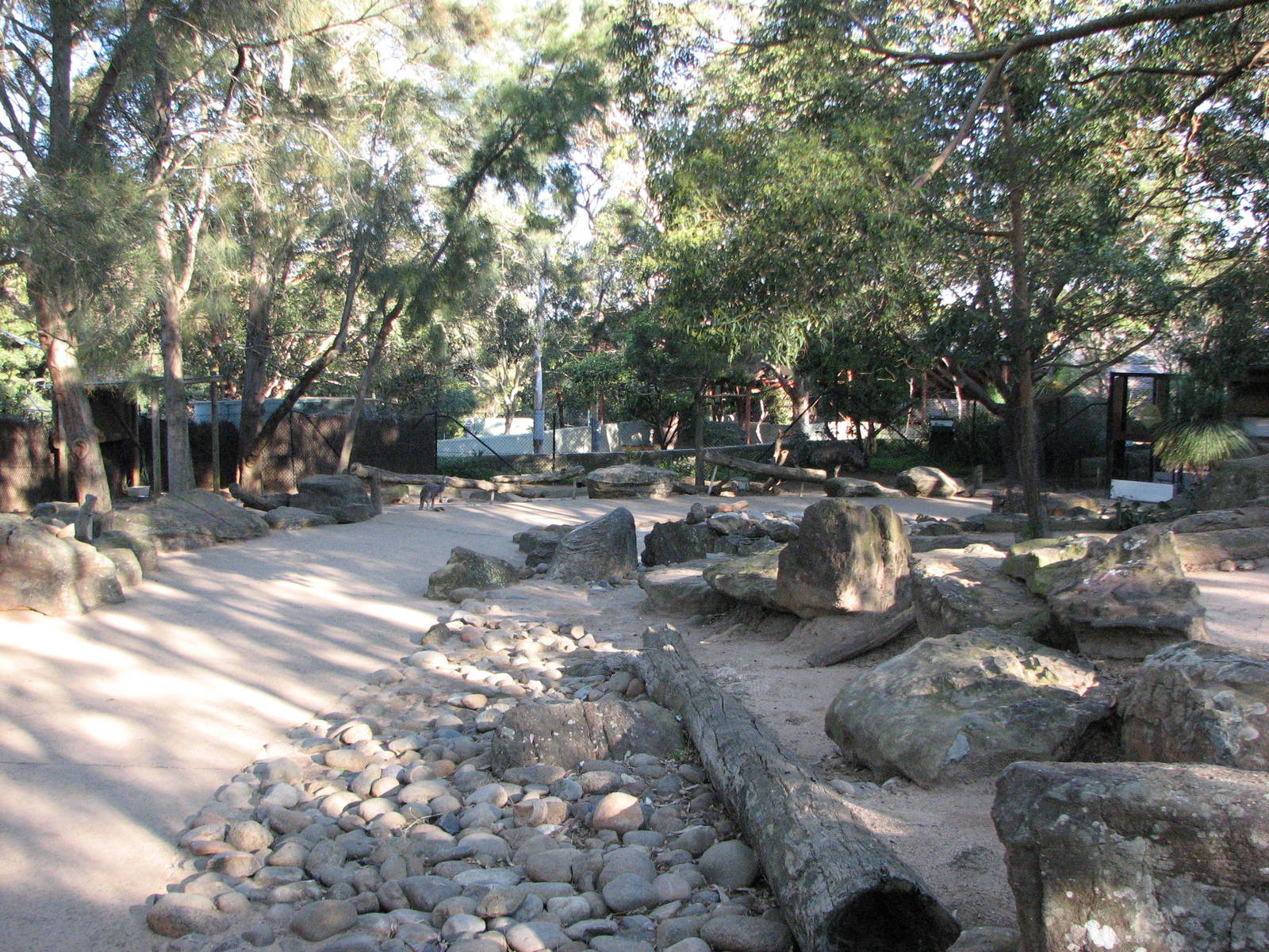 Taronga Zoo 2007 - Inside the walk-through exhibit in Wild Australia