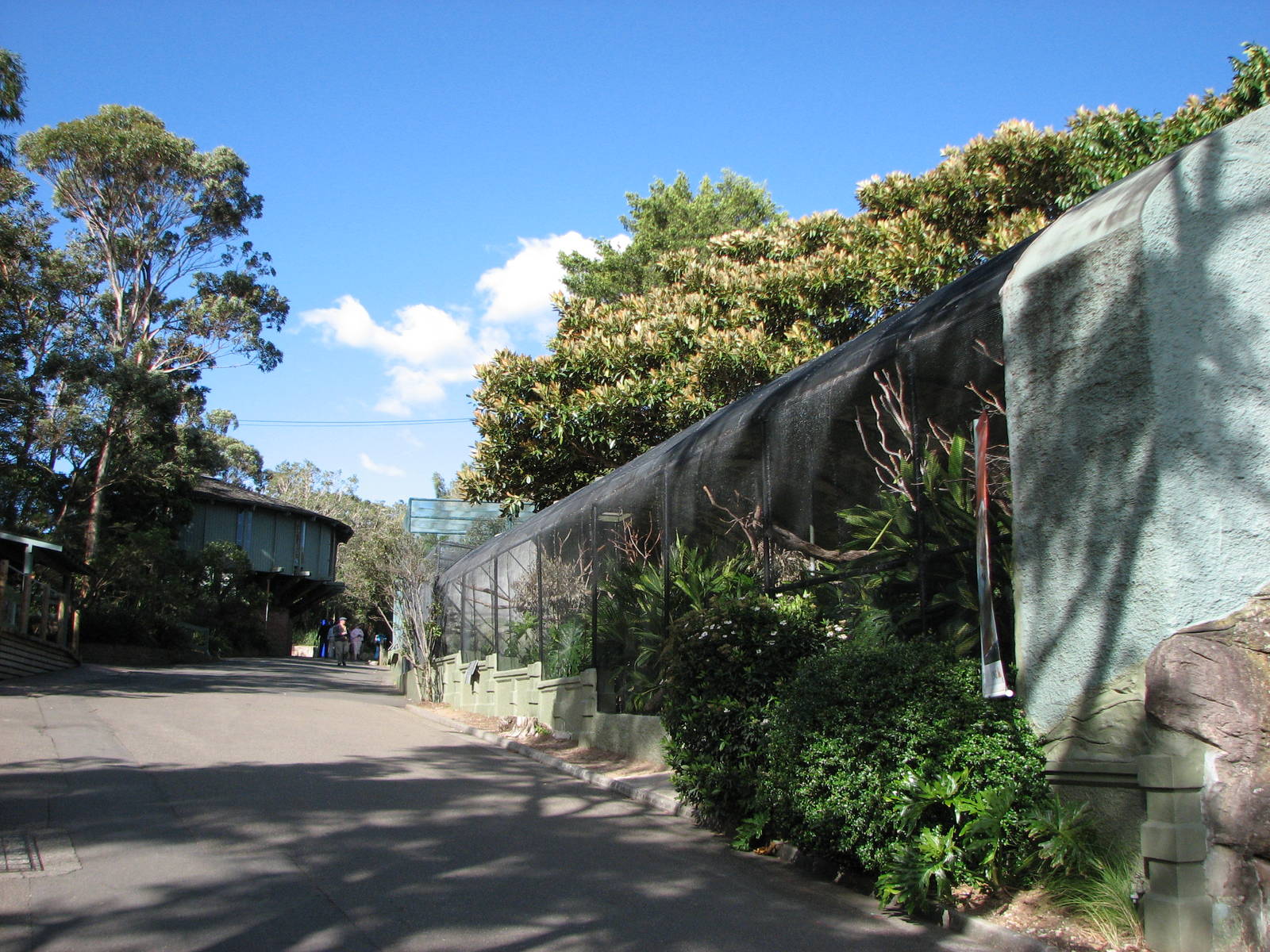 Taronga Zoo 2007 - Koala Walkabout and old aviaries