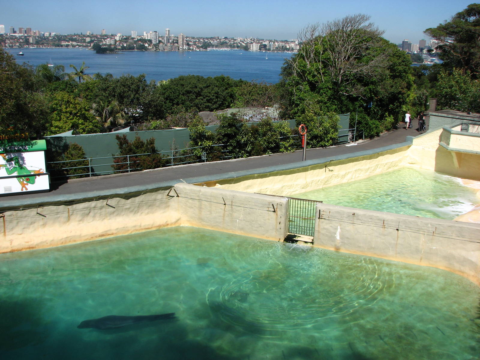 Taronga Zoo 2007 - Looking to the right of the old Pinniped complex