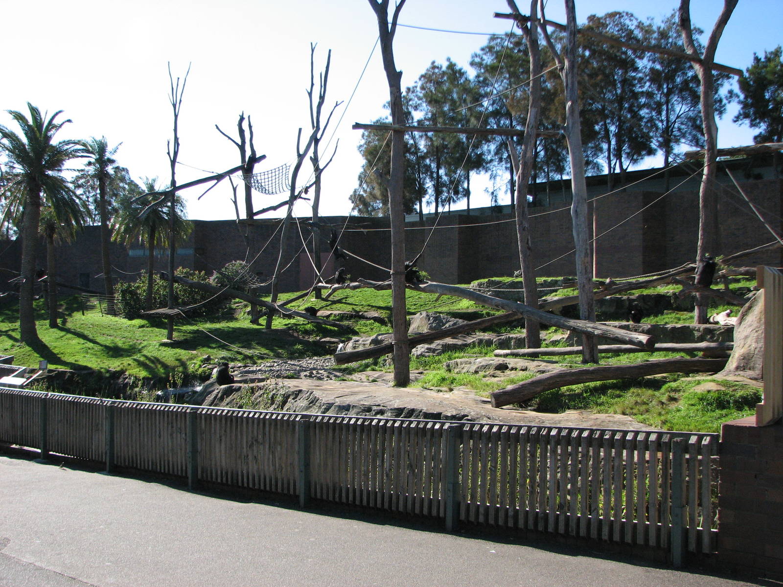 Taronga Zoo 2007 - Outstanding Chimpanzee exhibit