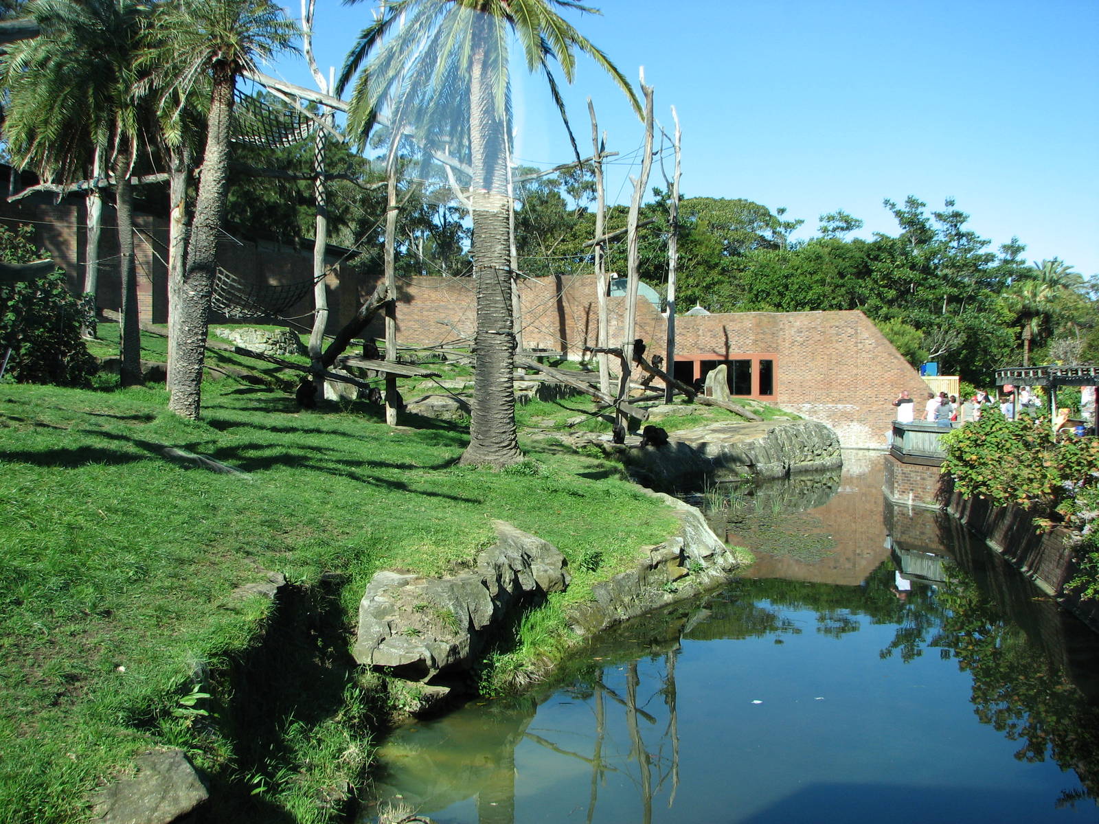 Taronga Zoo 2007 - Outstanding Chimpanzee exhibit