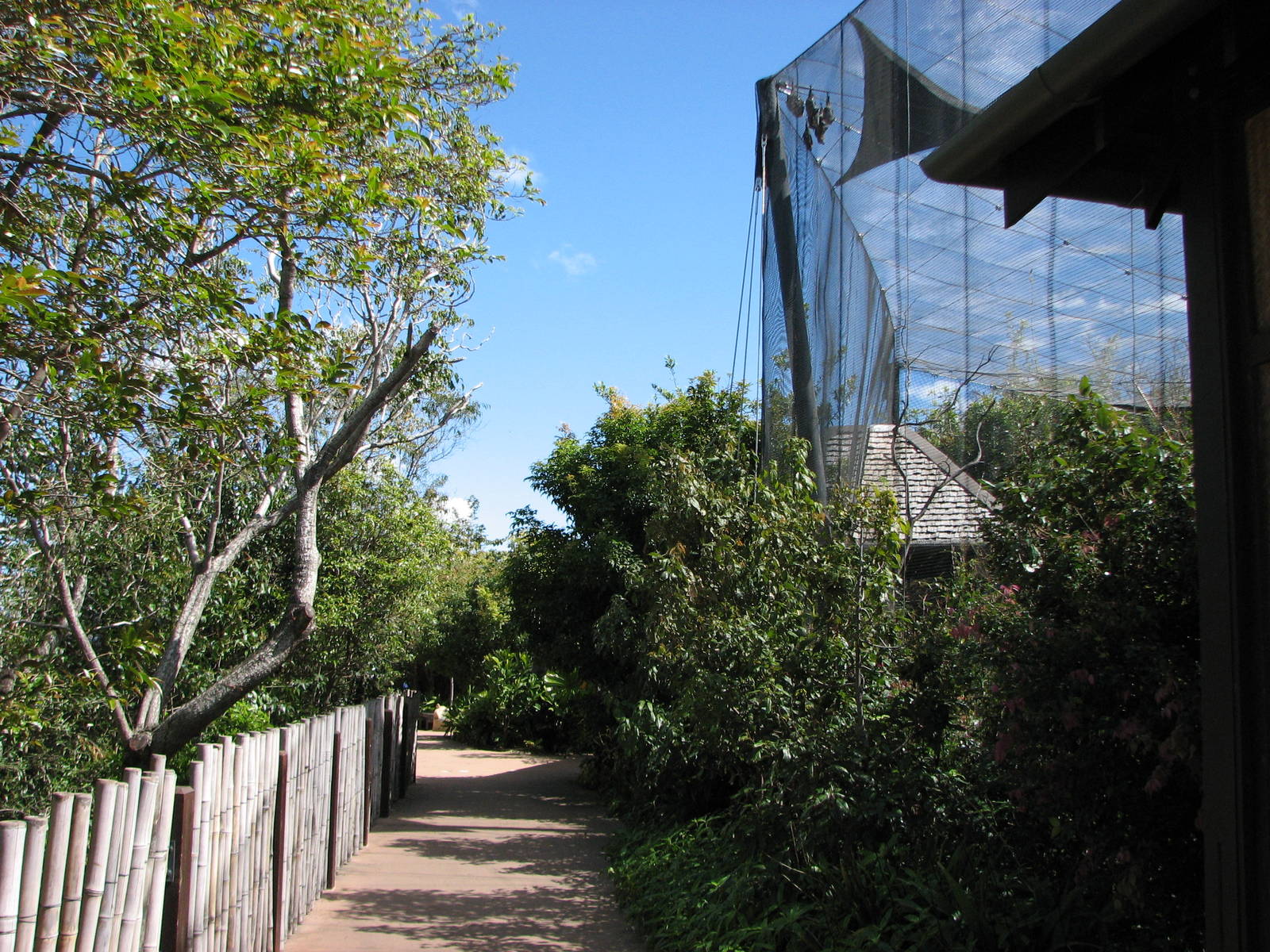 Taronga Zoo 2007 - Pathway in Wild Asia