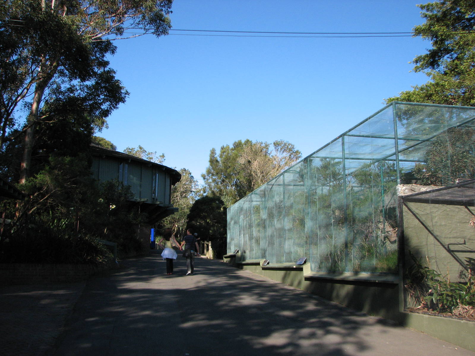 Taronga Zoo 2007 - Pathway leading to Koala Walkabout
