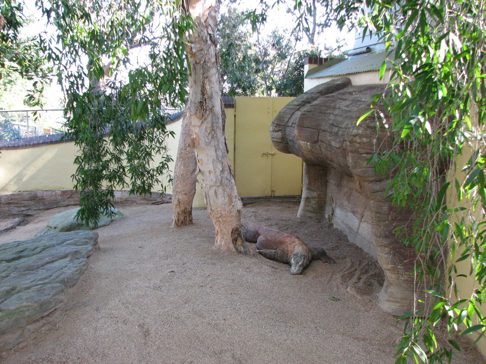 Taronga Zoo 2007 - Side view into the Komodo Dragon exhibit