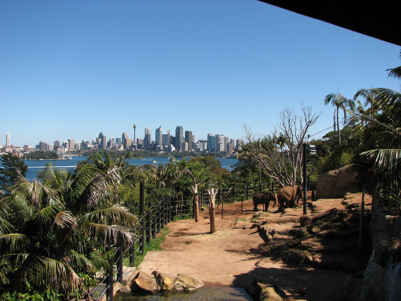 Taronga Zoo 2007 - Side view of the Asiatic Elephant exhibit