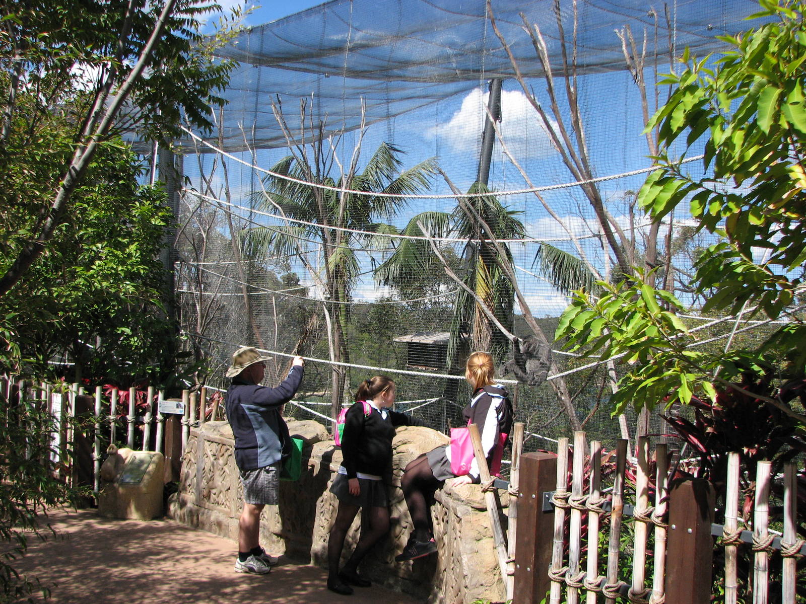 Taronga Zoo 2007 - Silvery Gibbon enclosure in Wild Asia