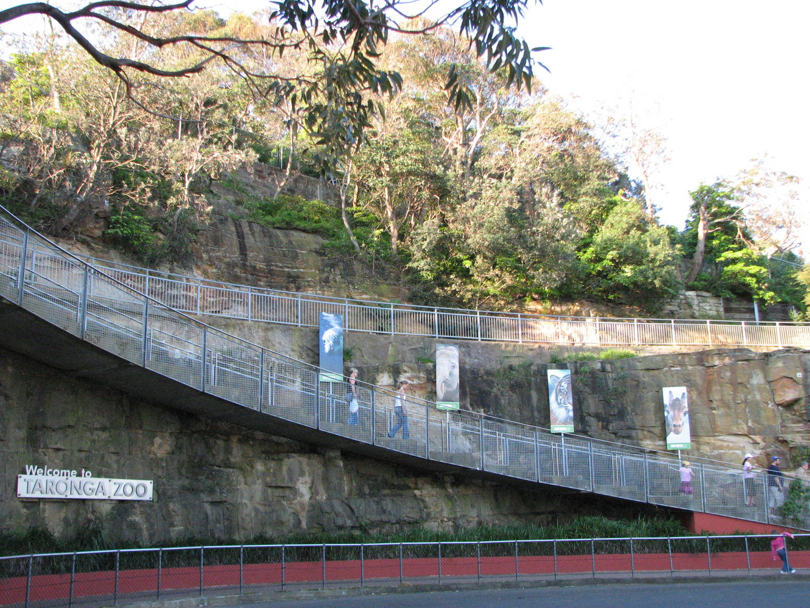 Taronga Zoo 2007 - Stairway on the harbour side of the zoo