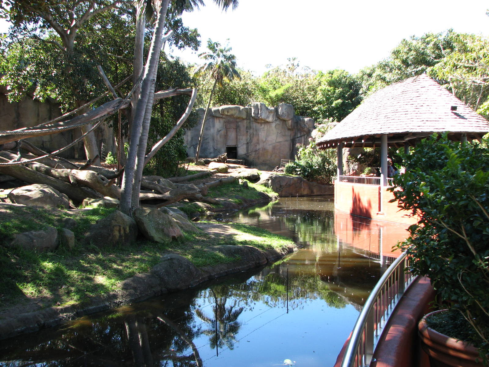 Taronga Zoo 2007 - View into the Gorilla exhibit