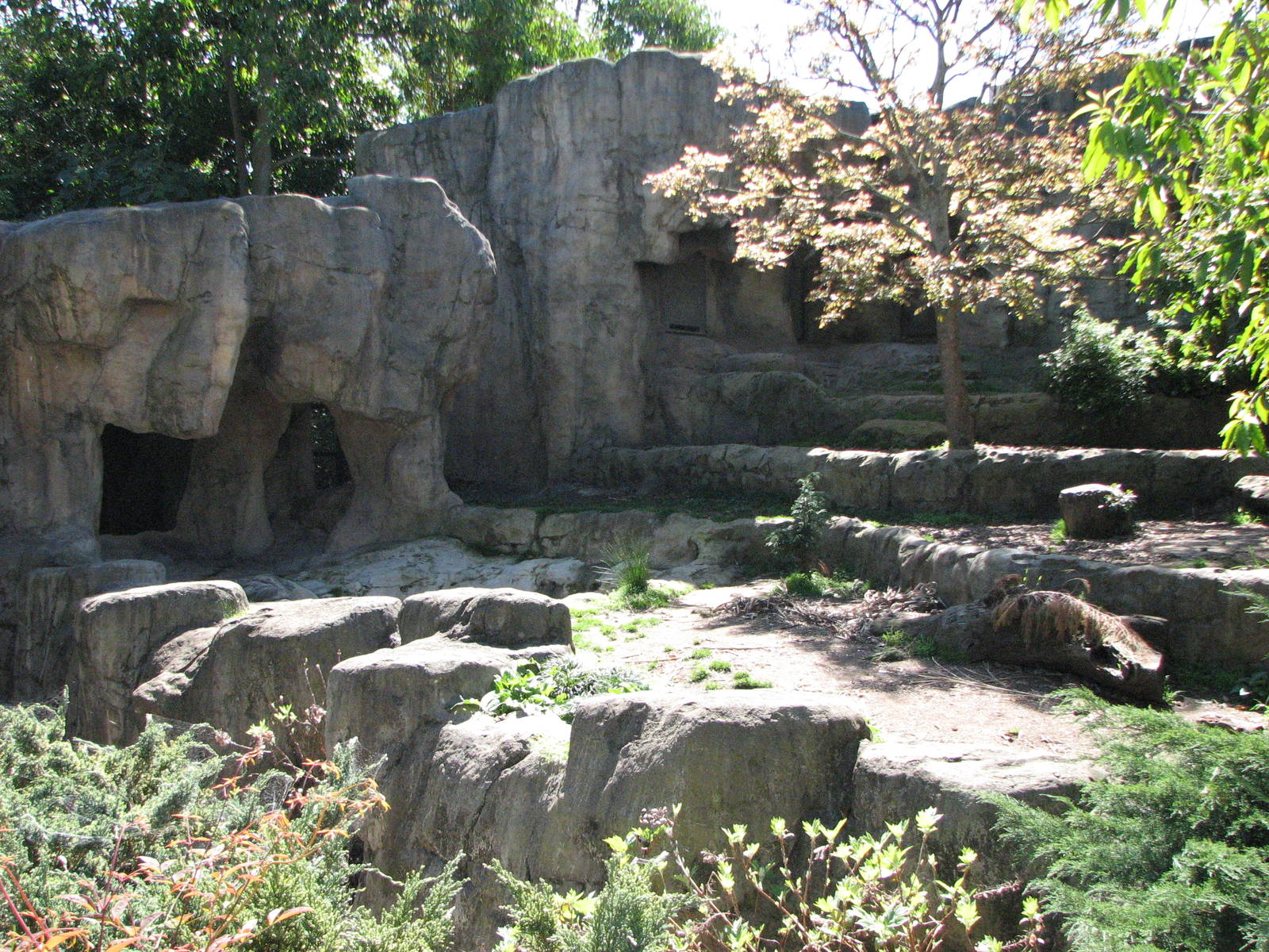Taronga Zoo 2007 - View into the Kodiak Bear exhibit