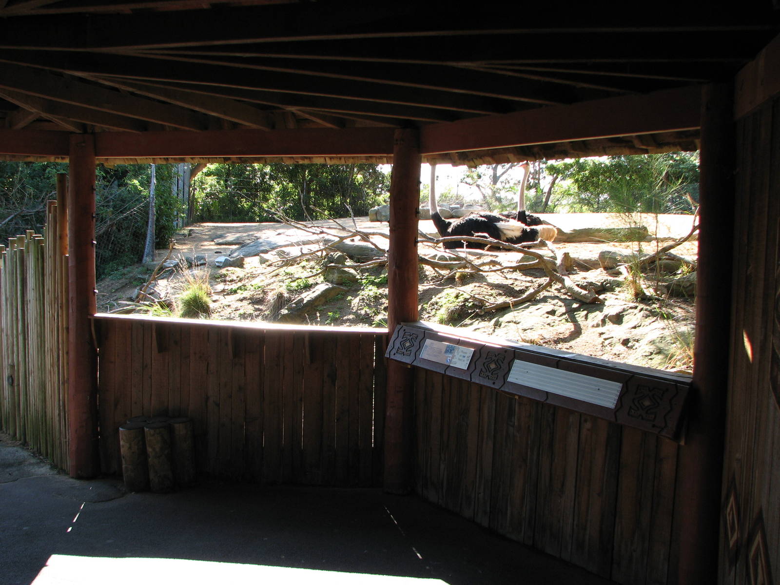 Taronga Zoo 2007 - Viewing deck at the Ostrich exhibit
