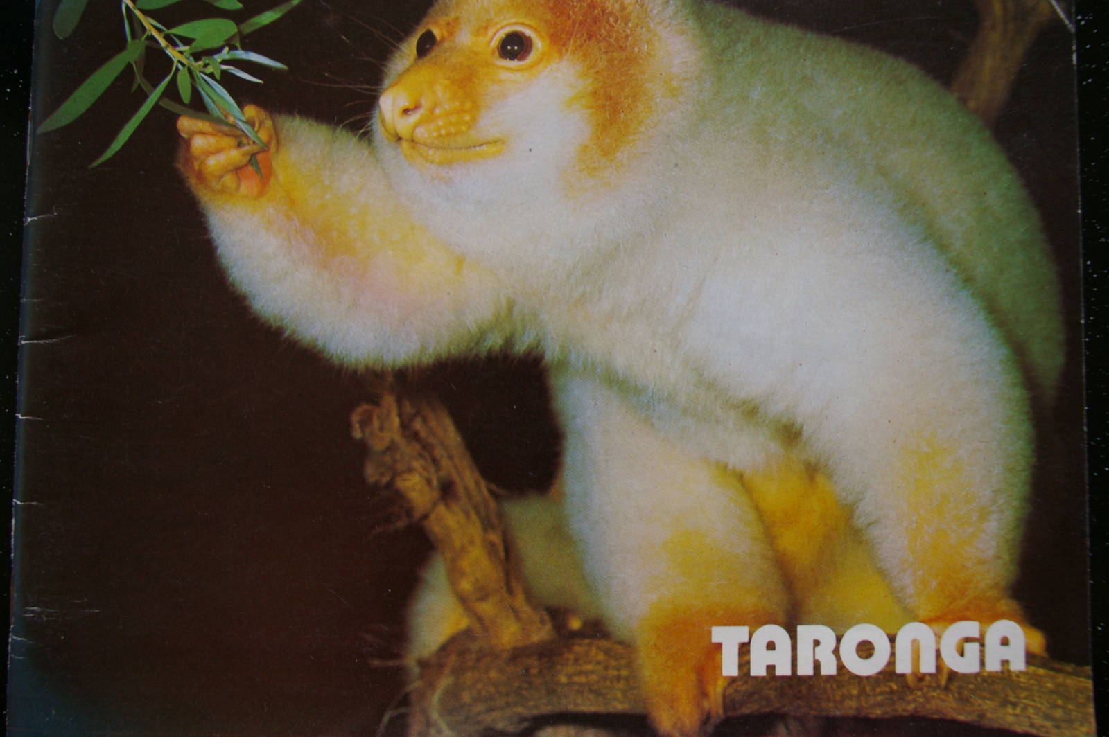 Taronga Zoo guidebook