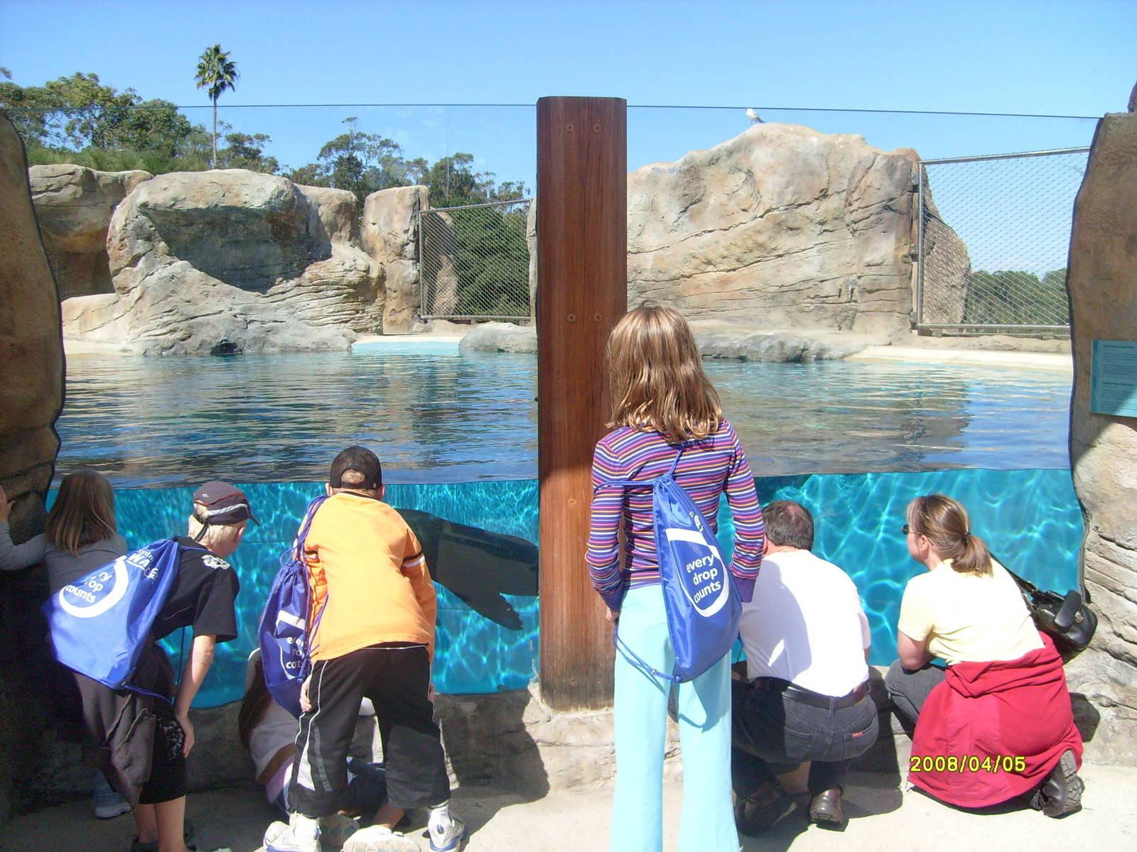 Taronga's great southern Oceans