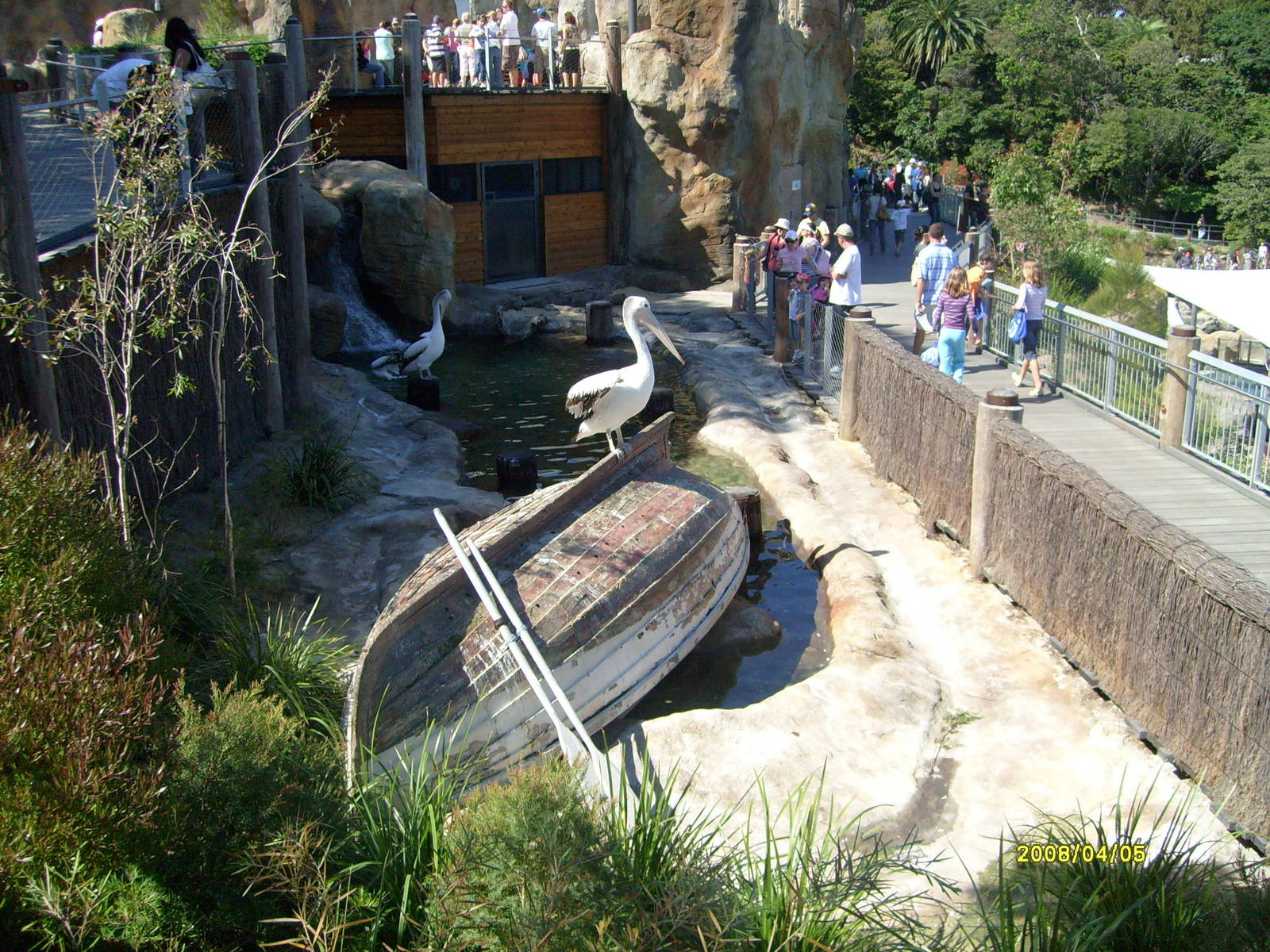 Taronga's great southern Oceans