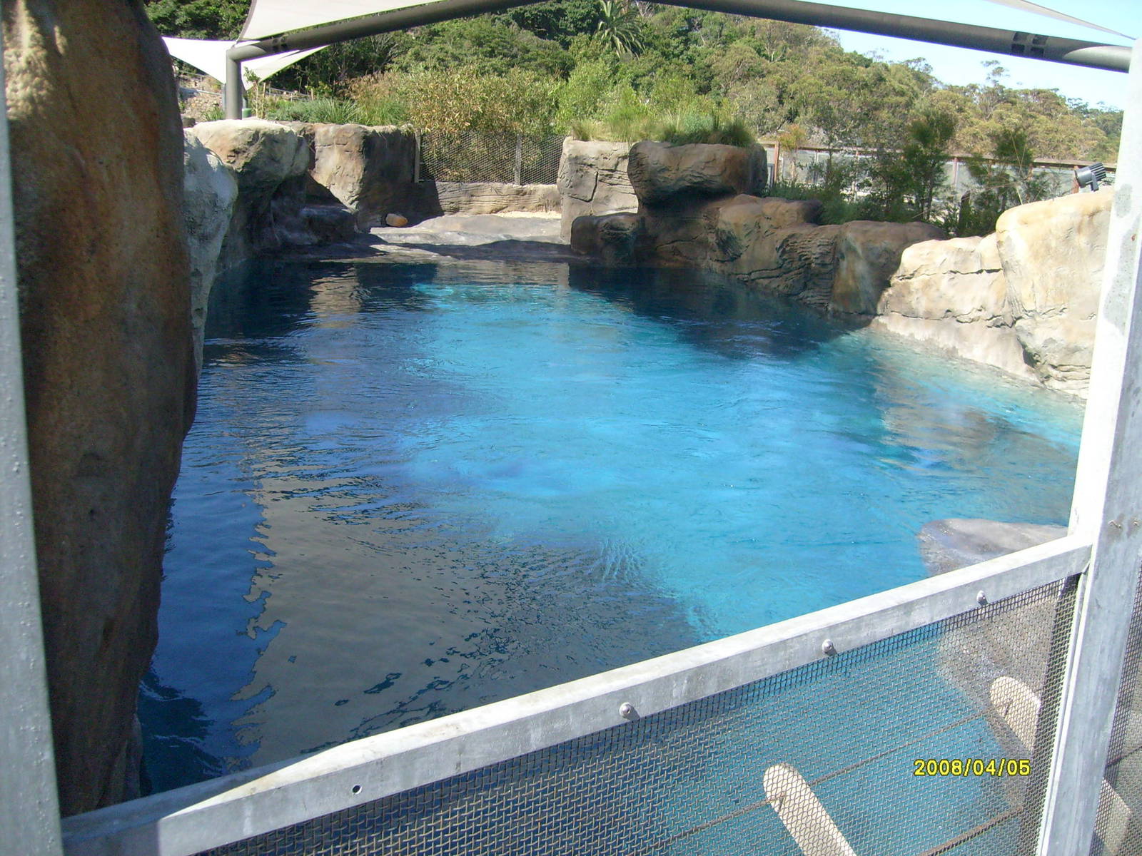 Taronga's great southern Oceans