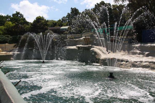 Taronga's old seal pools