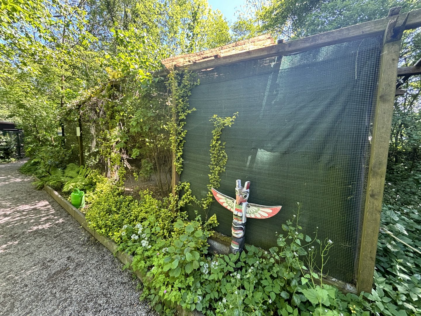Tarped off (Fraser’s Eagle Owl) Enclosure