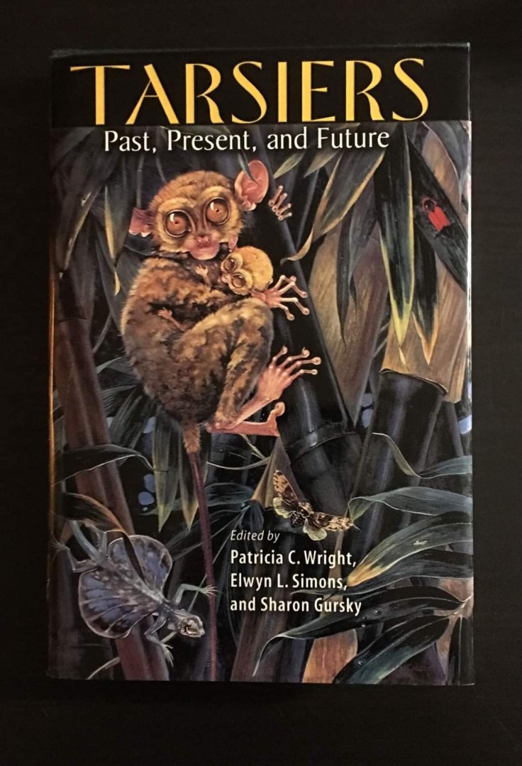Tarsiers Past, Present, and Future