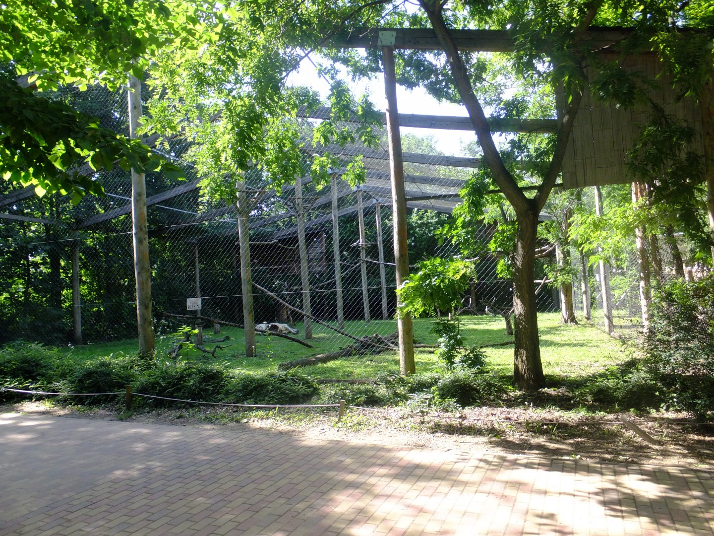 Tarzan's Trail, African bird aviary
