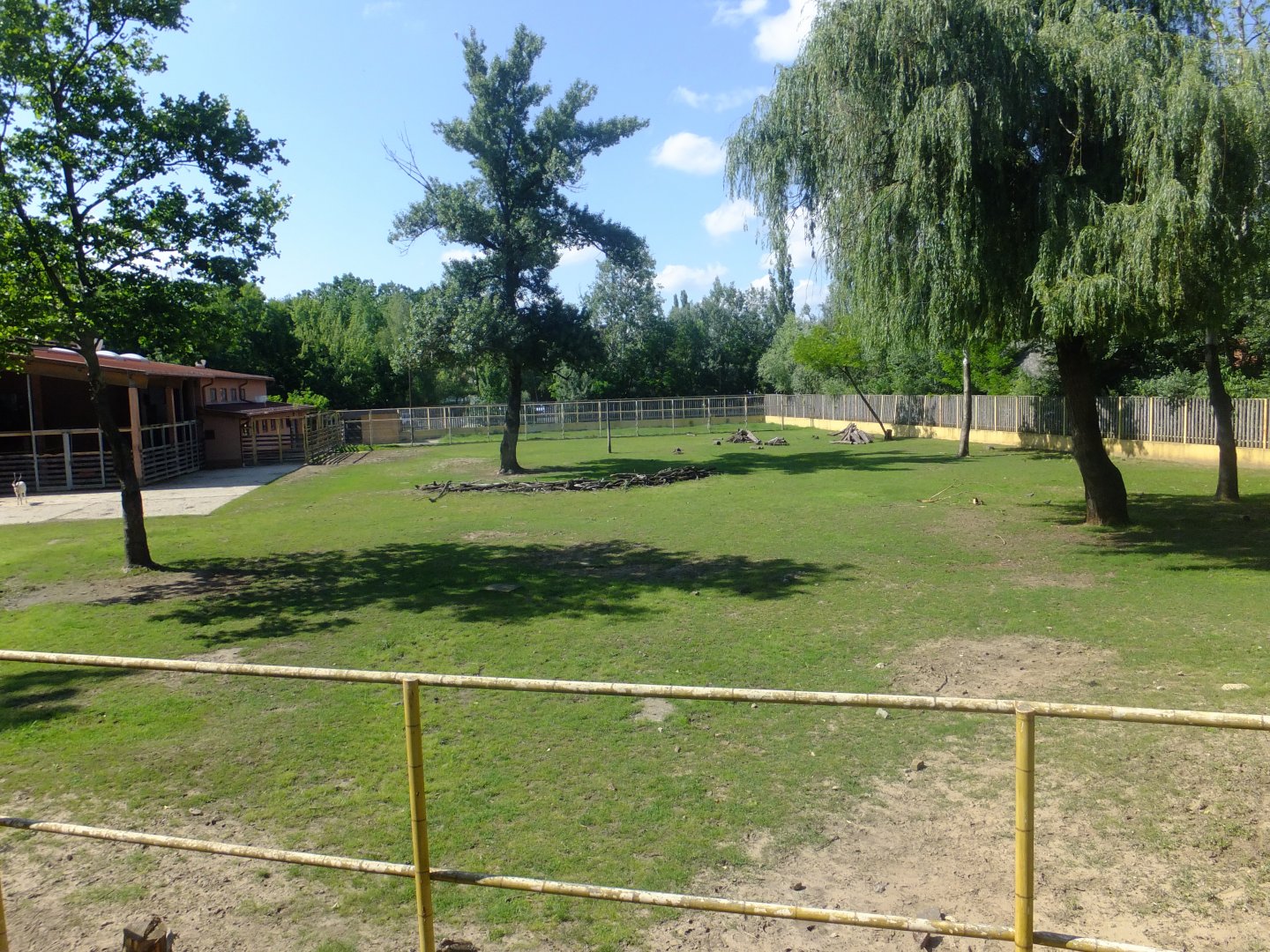 Tarzan's Trail, main exhibit (Rotschild's giraffe, Grevy's zebra, Addax, Sable antelope, Greater kudu)